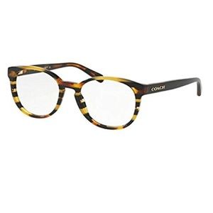 Coach Eyeglasses HC 6102 5440 52 Black Amber Glitter Varsity Stripe Frame